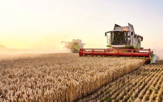 Жнива-2026: в Україні обмолочено майже половину площ ранніх зернових. ІНФОГРАФІКА
