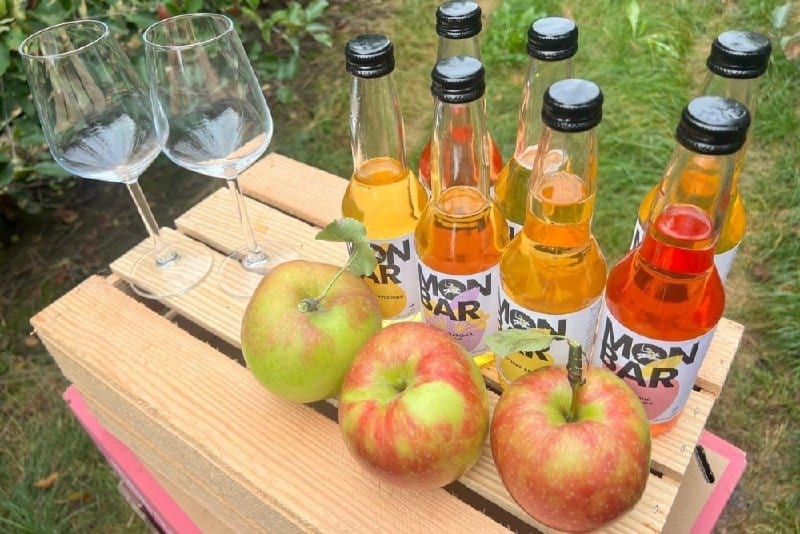 Закарпатський крафтовий сидр Monbar здобув три нагороди на World Cider Awards у Лондоні