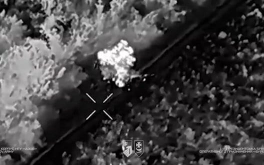 Дронарі бригади "Буревій" за тиждень знищили 171 FPV-дрон та 56 "Молній" на Добропільському напрямку. ВІДЕО