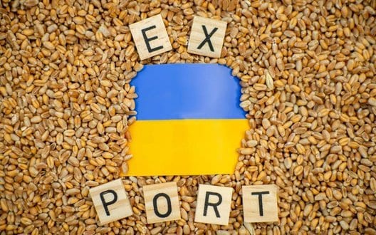 Зупинка портів підвищила логістичні витрати на експорт зерна на $50 за тонну – Мінагрополітики