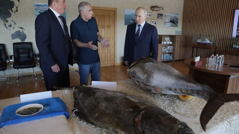 Путін уперше відвідав Курильські острови: Японія висловила протест