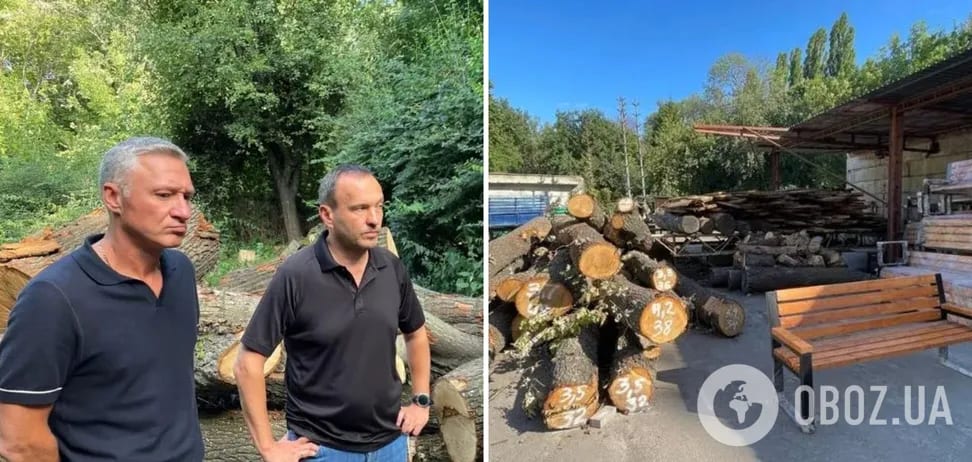 Кожне дерево під контролем: журналісти з’ясували, де зберігають дуби з Теремків і яка їхня подальша доля