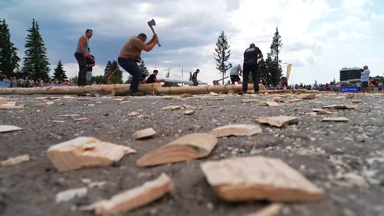 У Франції відбувся 73-й чемпіонат з лісорубного мистецтва з ручною рубкою колод