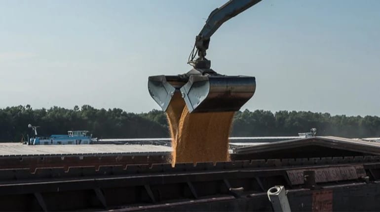 Перевезення зерна на Дунаї продовжує дорожчати, але повільніше
