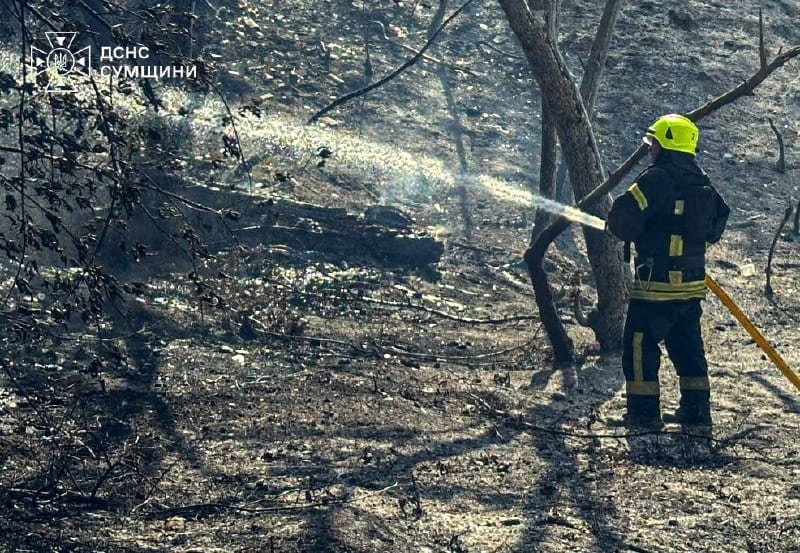 Ворог завдав авіаударів по Сумах: рятувальники ліквідовують наслідки атаки